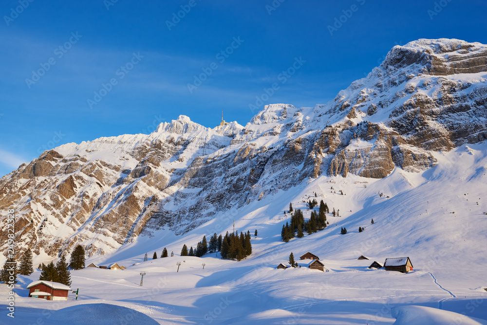 Schneebedeckte Schwägalp mit Alpsteinmassiv und Säntis im Winter, Felsen, blauer Himmel, leichte Schleierwolken, Häuser und Schäunen, Tannen