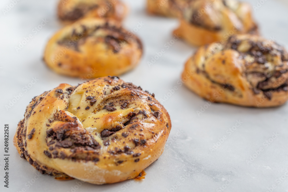 Chocolate Babka