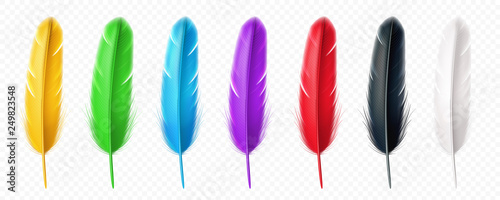 Black and white, yellow, green, blue, purple, red realistic feather of birds. Set of isolated colorful quill, plume or fluff, multicolor floating wing furry, soft and lightweight plumage. Decoration © Sensvector