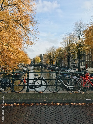 Photography Autumn in Amsterdam