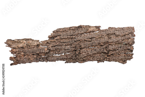 Piece of old tree bark, isolated on white background in studio