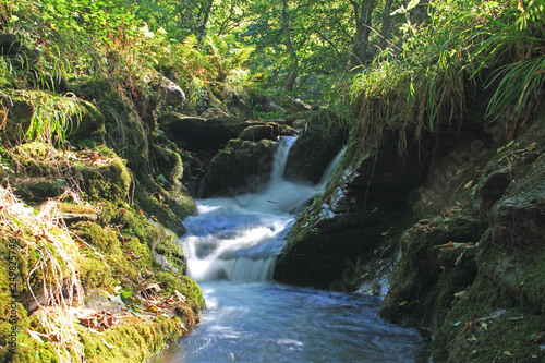 bubbling stream in wooded valley