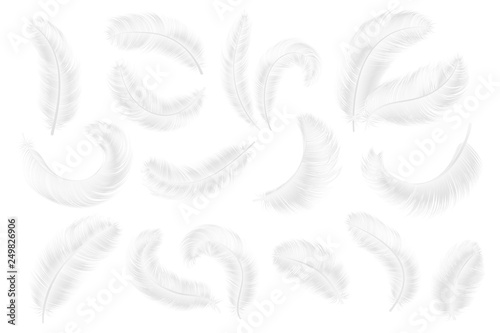 White feathers. Angel, goose or swan realistic feathers. 3d weightless falling plume isolated vector collection set
