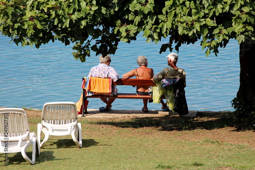 Older people sitting and relaxing on public bench next to sea under old tree with dense dark green leaves surrounded with grass and plastic beach chairs in background on warm sunny summer day
