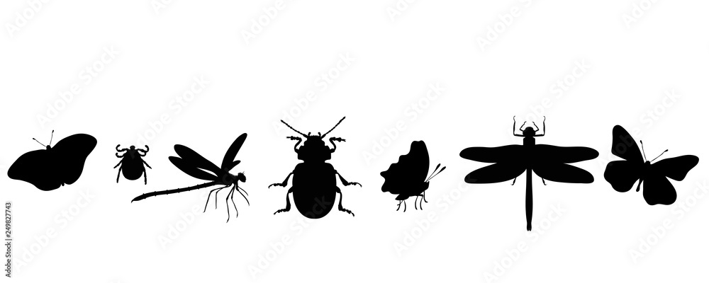 Illustration of set animals icon. Vector silhouette on white background. Symbol of insect. Illustration of set animals icon. Vector silhouette on white background. Symbol of insect.