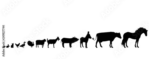 Illustration of set animals icon. Vector silhouette on white background. Symbol farm  s cattle.