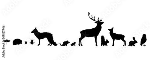Illustration of set forest´s animals icon. Vector silhouette on white background.