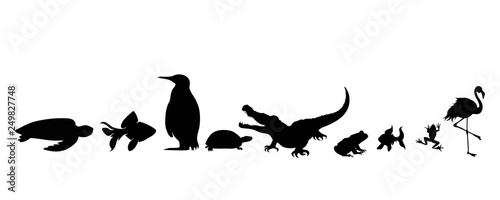 Illustration of set aquatic animals icon. Vector silhouette on white background.