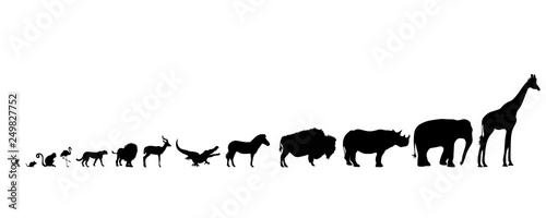 Photography Illustration of set african animals icon