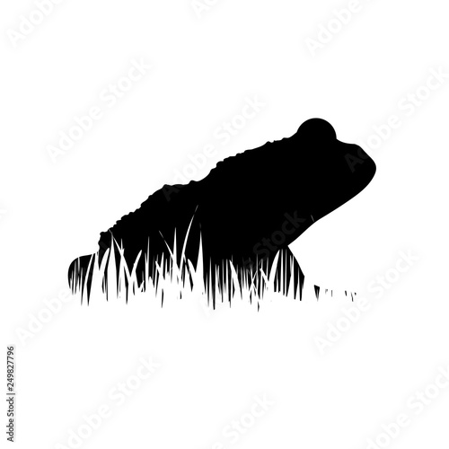 Illustration of frog icon in the grass. Vector silhouette on white background. Symbol of tree-frog.