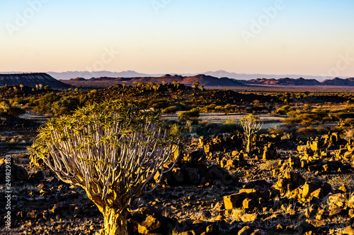 landscape view sunrise namibia africa quivertree rocks sun © Christopher