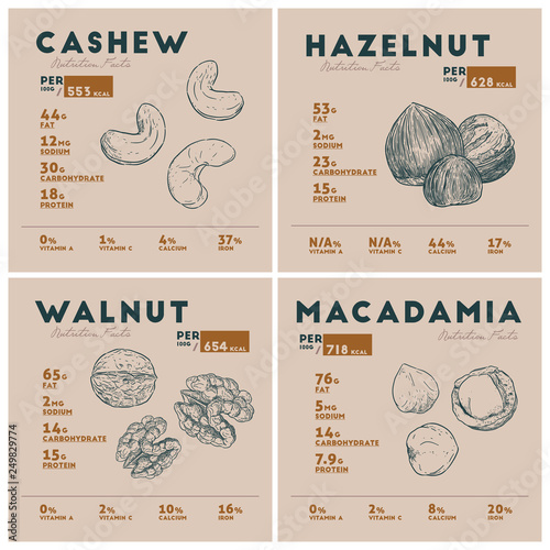 Nutrition fact of nut. cashew, hazelnue, macadamia and walnut. Hand drawn vector illustration.