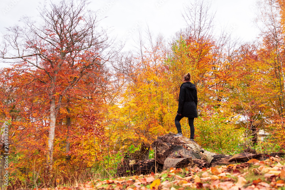 Woman standing in an autumn forest looking at all the colorful trees in southern Sweden. Woman standing in an autumn forest looking at all the colorful trees in southern Sweden.