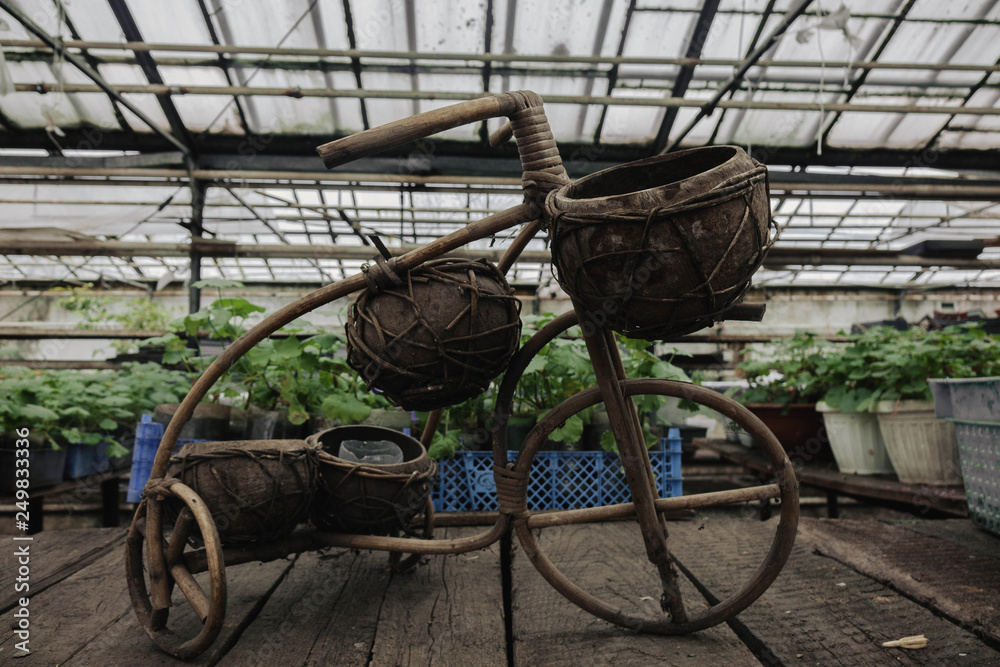 Fototapeta premium Antique wooden bicycle with plants on background