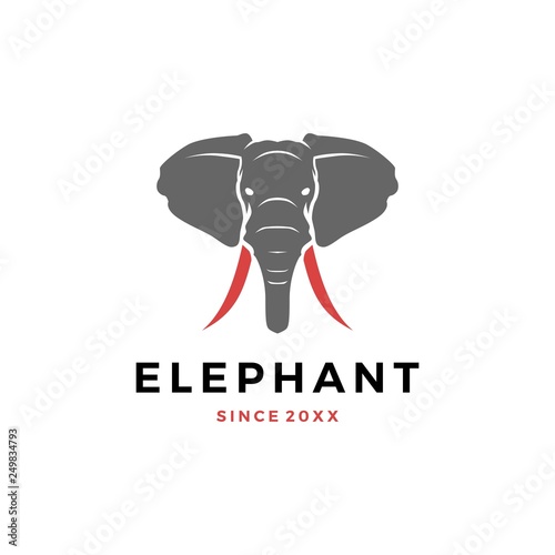 elephant head logo vector icon illustration