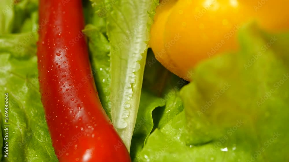 Fresh Organic Vegetables rotating on wooden table. Pepper, salad and other. Fresh Organic Vegetables rotating on wooden table. Pepper, salad and other.