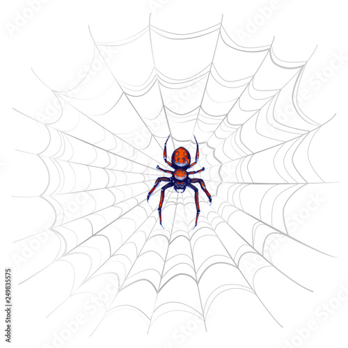 Exotic danger spider with red spots on complicated web on white
