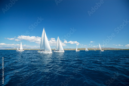 Wallpaper Mural Sailing yachts regatta competition