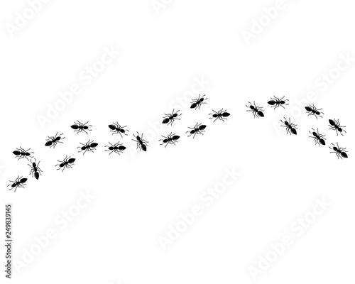 ant logo icon vector illustration design