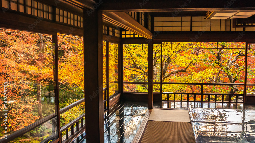 Landscape view of the vibrant and beautiful 'Ruri no Niwa' as seen from the second floor of the two-storey building in Rurikoin during the peak autumn foliage season in Kyoto City. - obrazy, fototapety, plakaty 