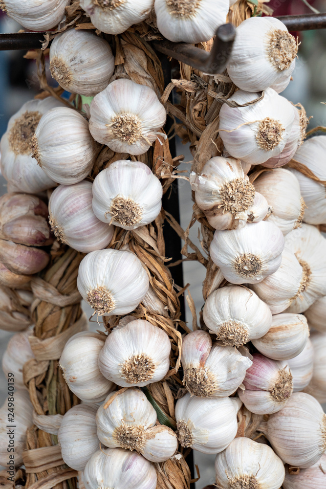 Garlic string on portuguese street market Garlic string on portuguese street market