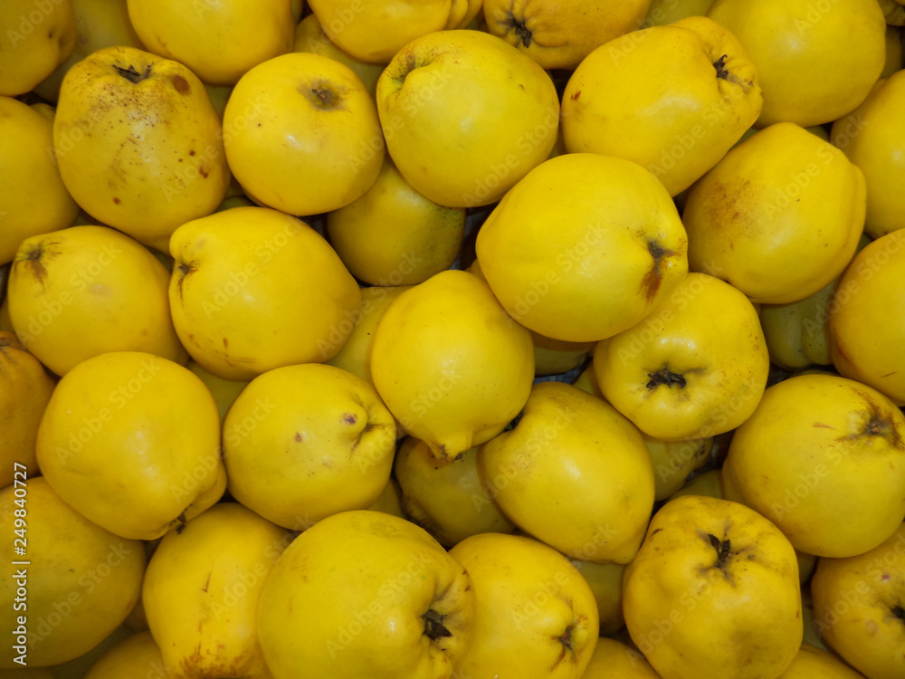 pile of ripe fresh quince