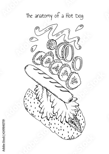 The anatomy of a Hot Dog
