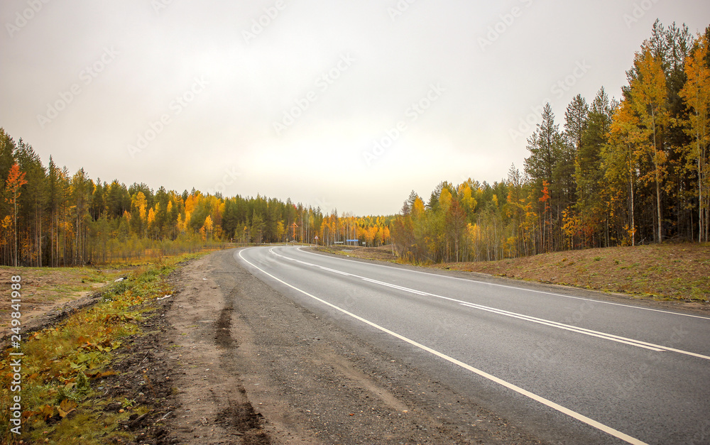 Fototapeta premium The asphalted small highway in an autumn season.