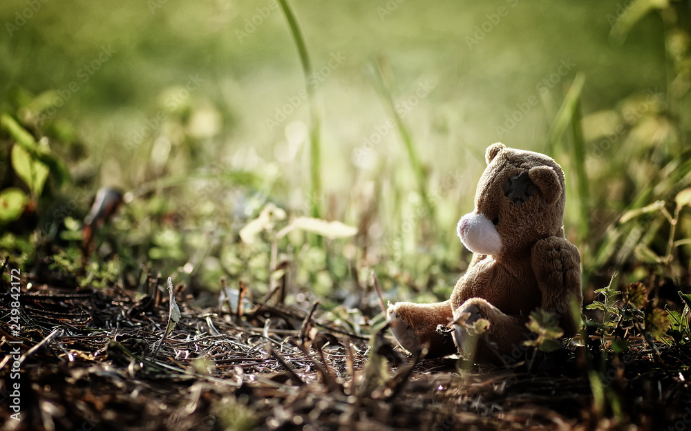 Obraz premium lost toy on the ground