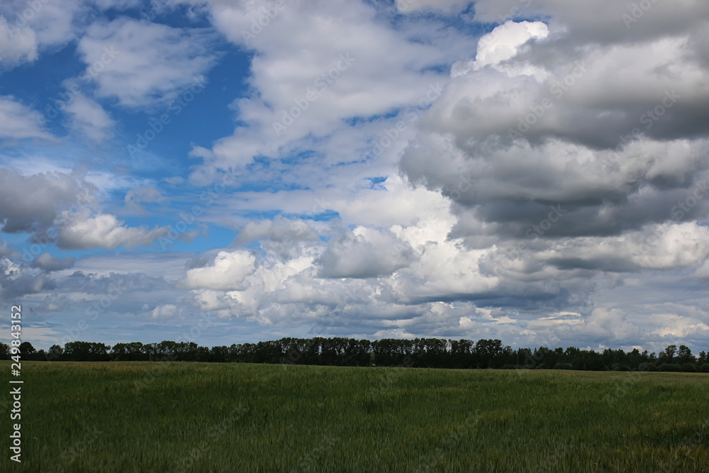 lanscape meadow sky cloud
