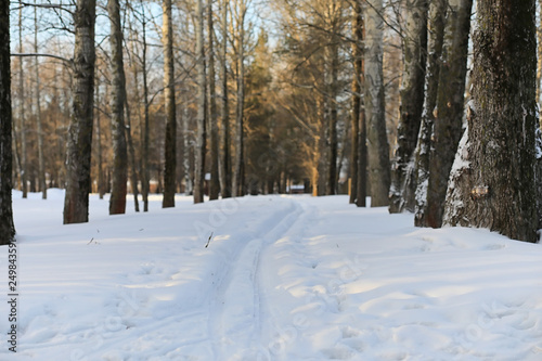 Winter landscape snow covered expanses. A park in the winter in the snow. Road on a winter day.