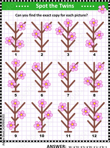 Find identical pictures of first spring flowers visual puzzle. Answer included.