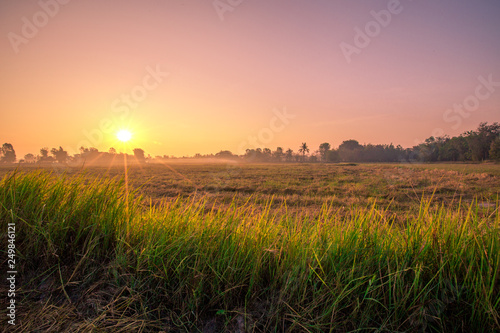 Natural background during the rising sun from the horizon  mountain  wallpaper  twilight light of the sky  bright colors along the rice fields  beauty during travel 
