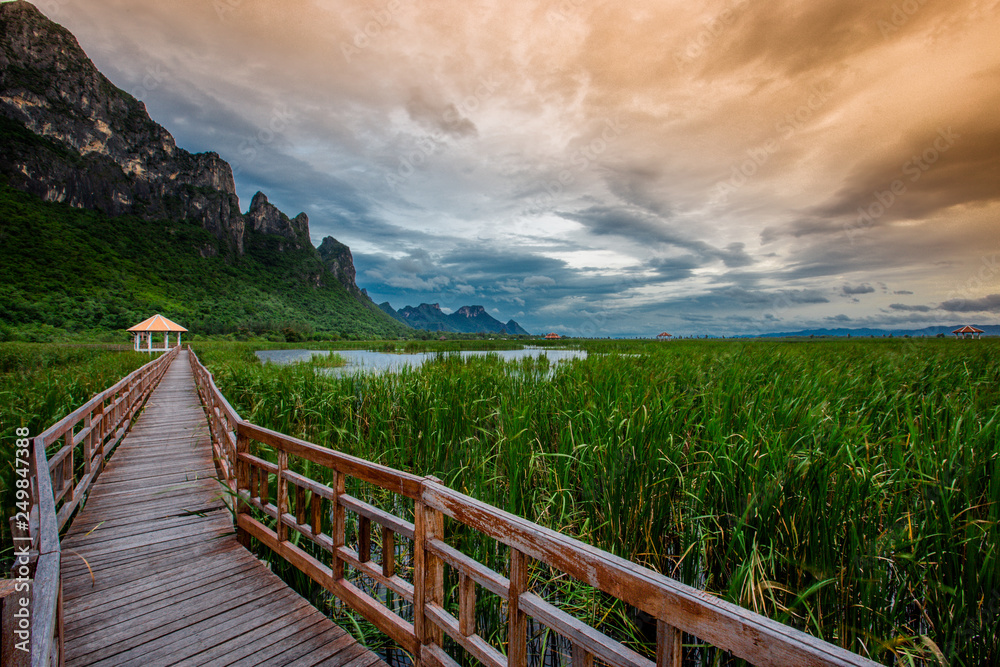 Obraz premium The background of a long wooden bridge along the mountain, the surrounding nature (trees, grass, fine weather), the beauty of the ecosystem