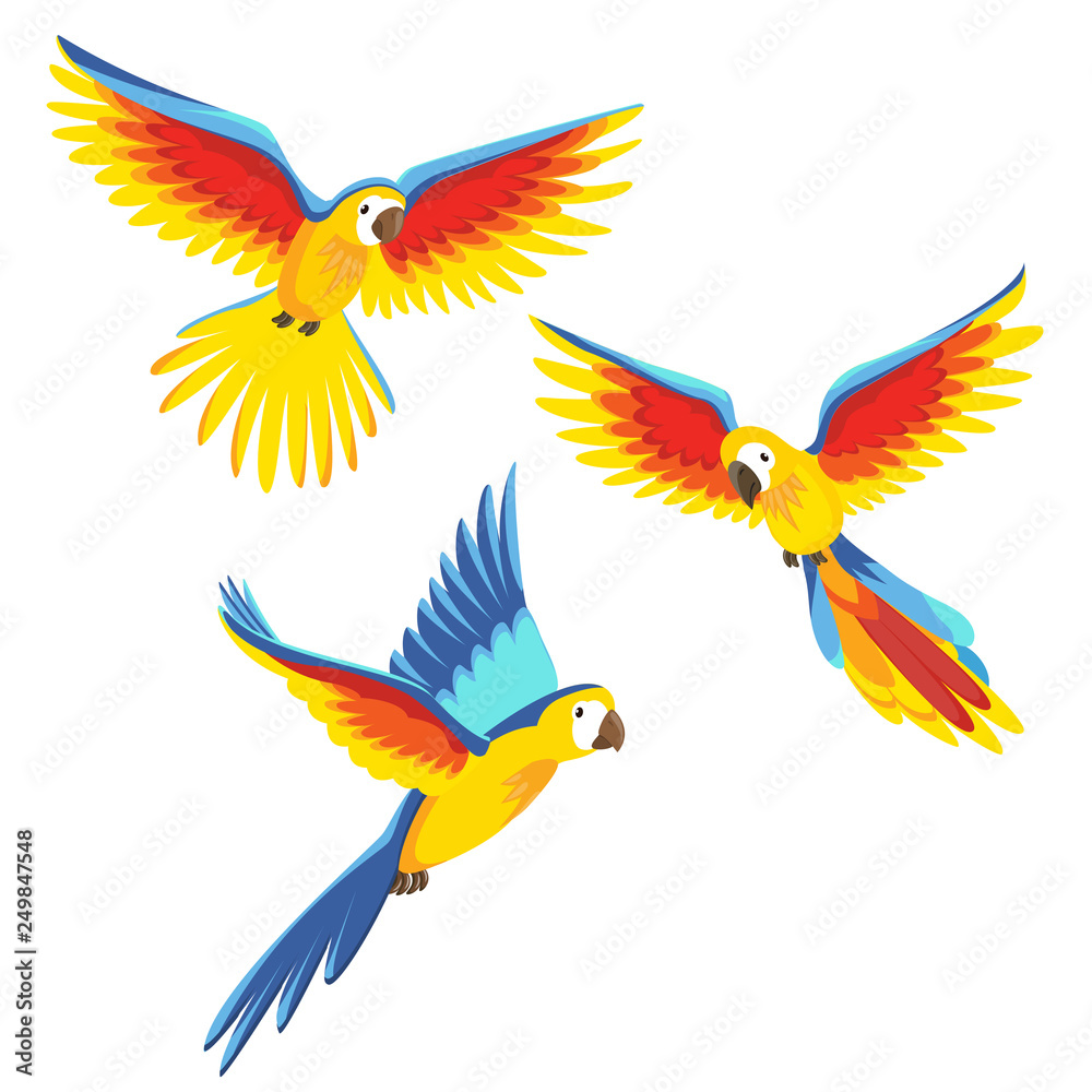 Parrots Parrots