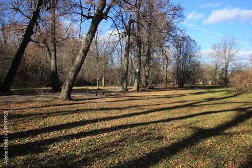 sunny day at the park