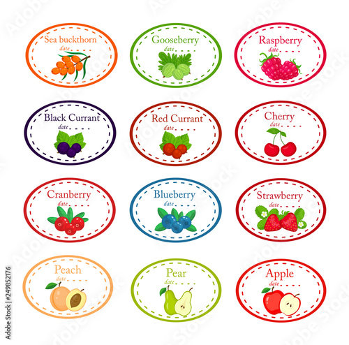 Big set of different labels for jam and conservs with garden fruits and berrieis vector illustration