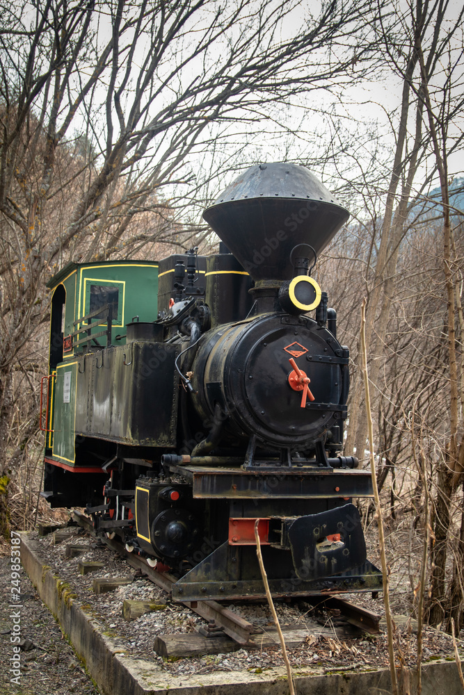 Fototapeta premium Old small steam locomotive on part of railway in the forest like a monument and tourist attraction