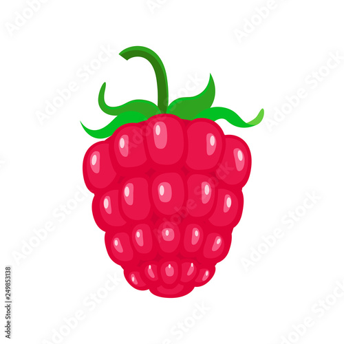 Cartoon rasbpery vector illustration isolated on white background.