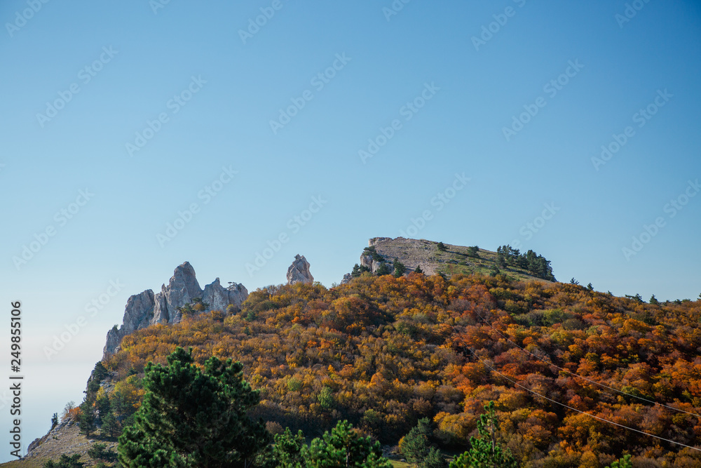 Photo of picturesque mountain landscape, trees, hills, blue sky