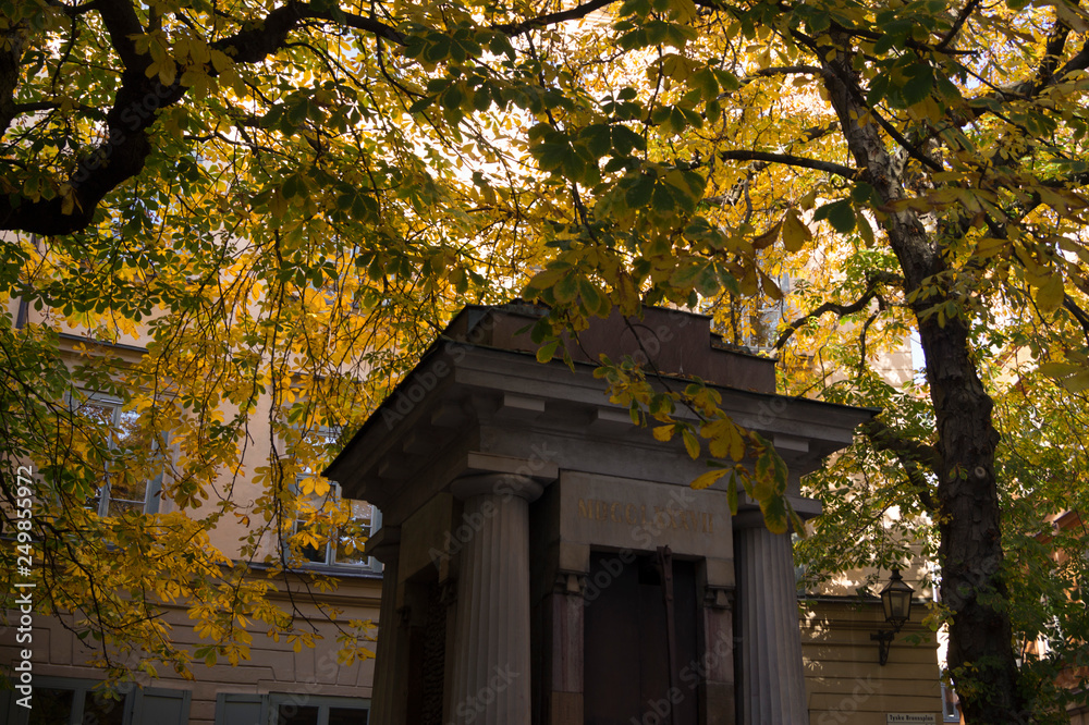 Naklejka premium autumn in park in Stockholm, Sweden