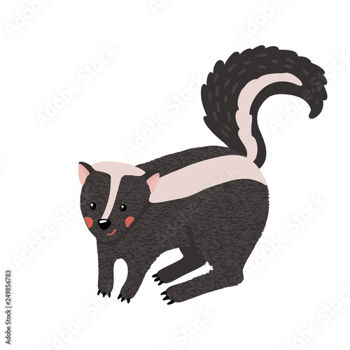 Cute hand drawn skunk isolated on white.