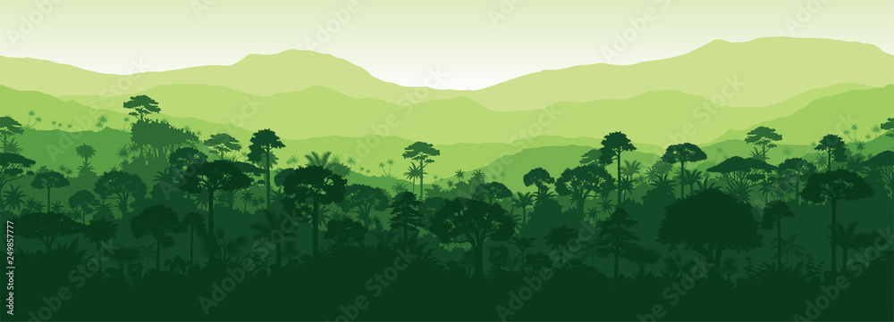 Vector horizontal seamless tropical rainforest Jungle forest background