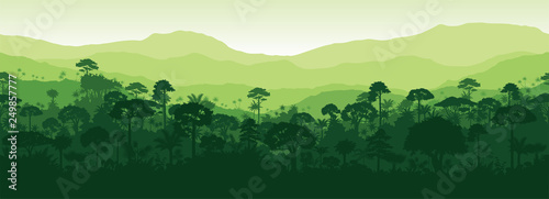 Fototapeta Naklejka Na Ścianę i Meble -  Vector horizontal seamless tropical rainforest Jungle forest background