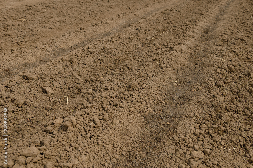 plowed and sown land in a field of brown plowed and sown land in a field of brown