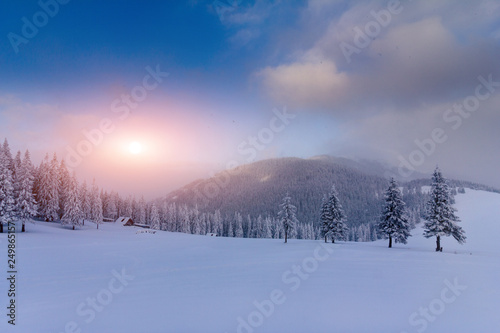 Majestic landscape winter sunrise in the mountains. Fantastic morning glowing by sunlight. View of snow covered forest trees.