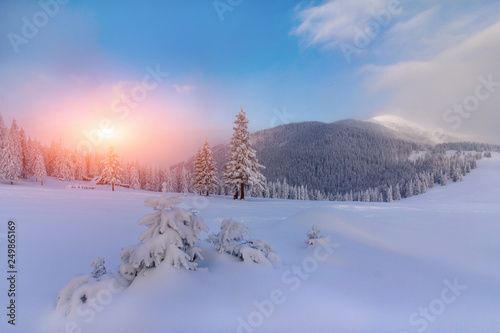 Majestic landscape winter sunrise in the mountains. Fantastic morning glowing by sunlight. View of snow covered forest trees.