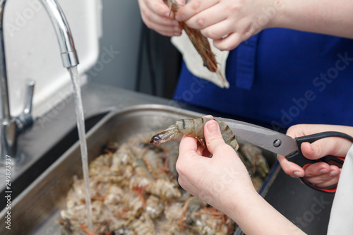 Closeup cook's hand clean shell of fresh royal raw shrimp with scissors on the professional restaurant kitchen. Concept preparation semi finished seafood, grilled lobster and sushi rolls making