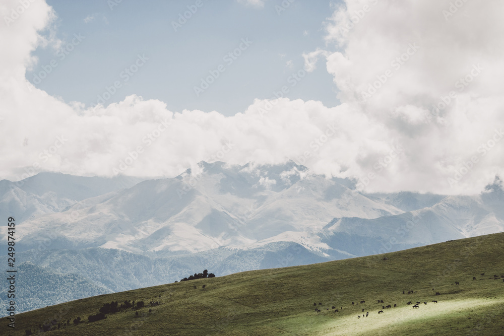 Closeup view mountains and valley scenes in national park Dombai, Caucasus Closeup view mountains and valley scenes in national park Dombai, Caucasus