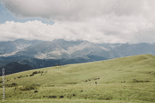 Closeup view mountains and valley scenes in national park Dombai, Caucasus